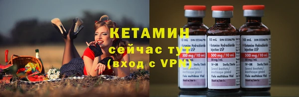 сатива Осинники