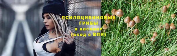 твердый Балабаново
